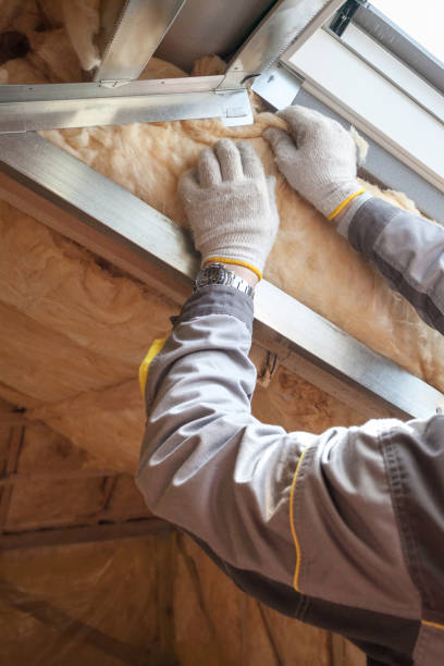Best Commercial Insulation in Little Canada, MN