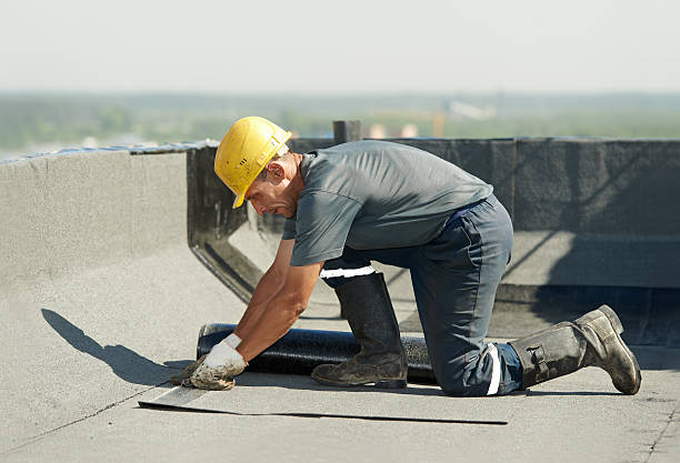 Best Eco-Friendly Insulation in Little Canada, MN