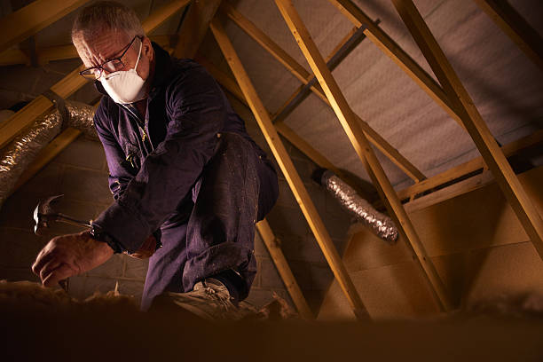 Best Geographic-Specific Insulation Services in Little Canada, MN